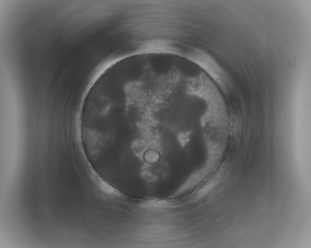 X0000111051094200907021614