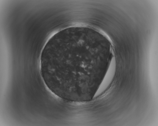 X0000111051095200907021614