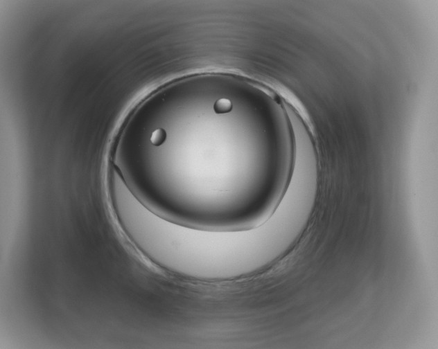 X0000111051096200907021614