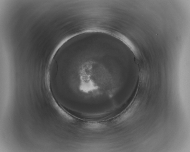 X0000111051100200907021614