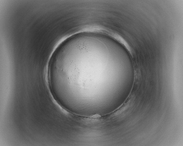 X0000111051103200907021614