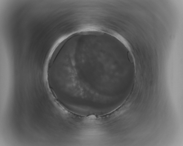 X0000111051104200907021614