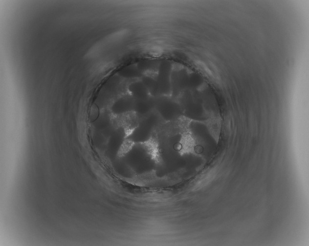 X0000111051105200907021614