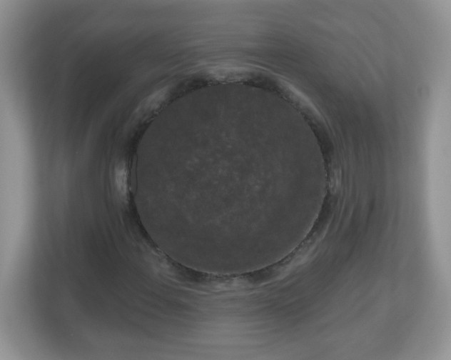 X0000111051108200907021614