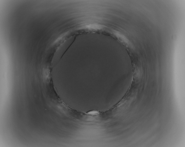 X0000111051110200907021614