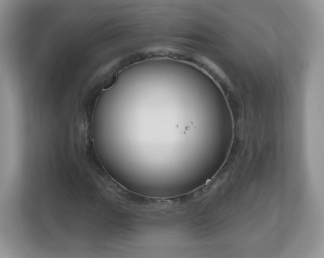 X0000111051111200907021614