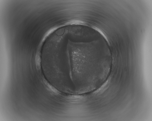 X0000111051115200907021614