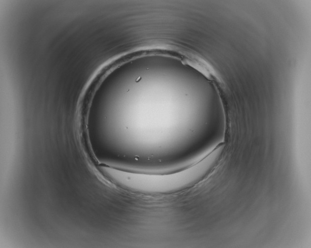 X0000111051116200907021614