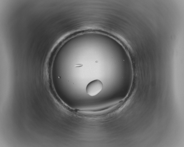 X0000111051118200907021614