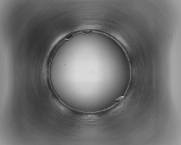 X0000111051119200907021614