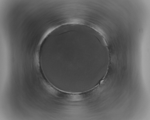 X0000111051120200907021614