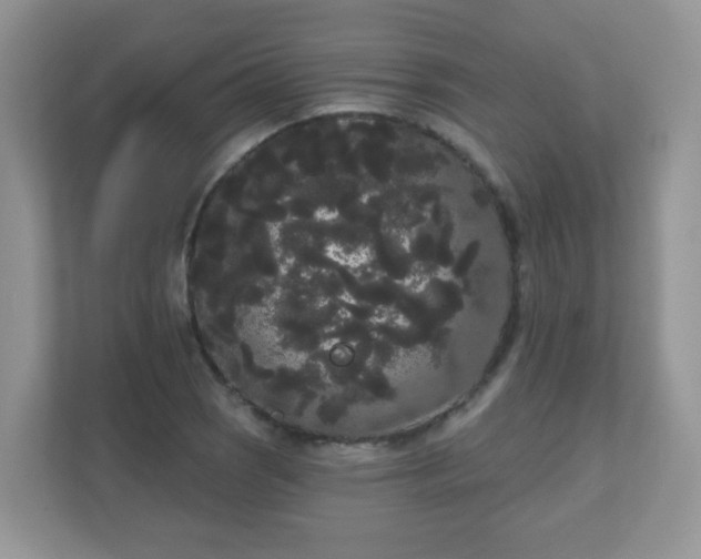 X0000111051121200907021614