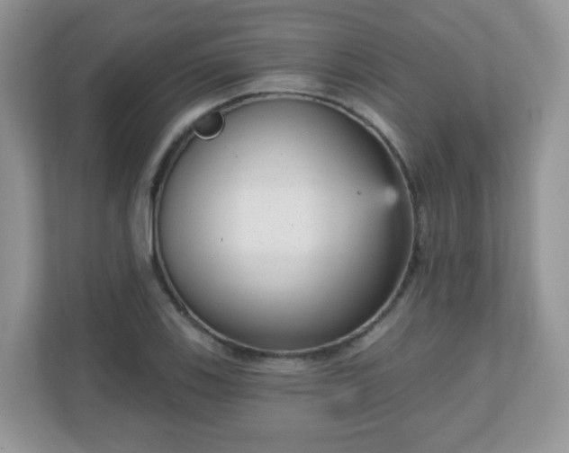 X0000111051123200907021614