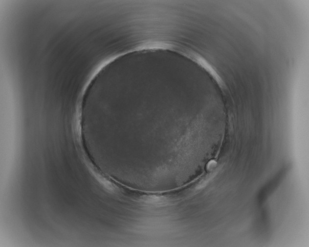 X0000111051124200907021614