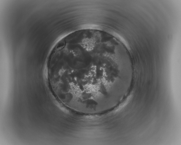 X0000111051125200907021614