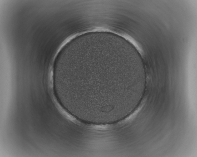 X0000111051126200907021614