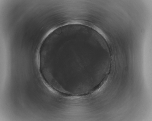 X0000111051127200907021614