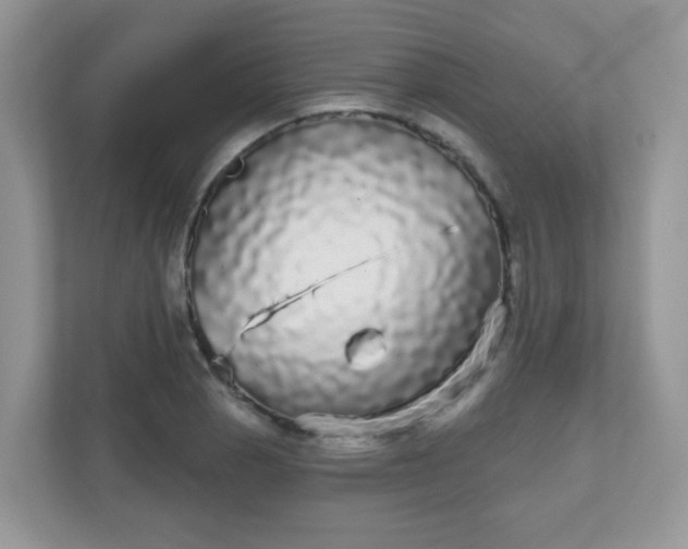 X0000111051129200907021614