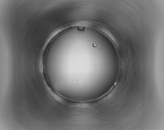 X0000111051131200907021614