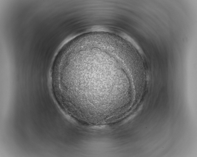 X0000111051133200907021614