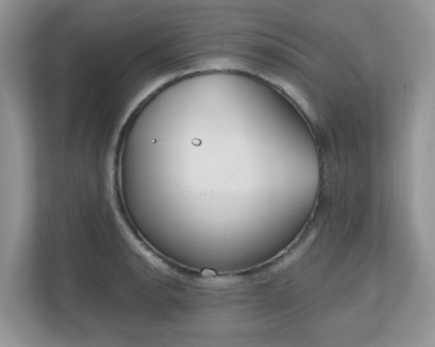 X0000111051134200907021614