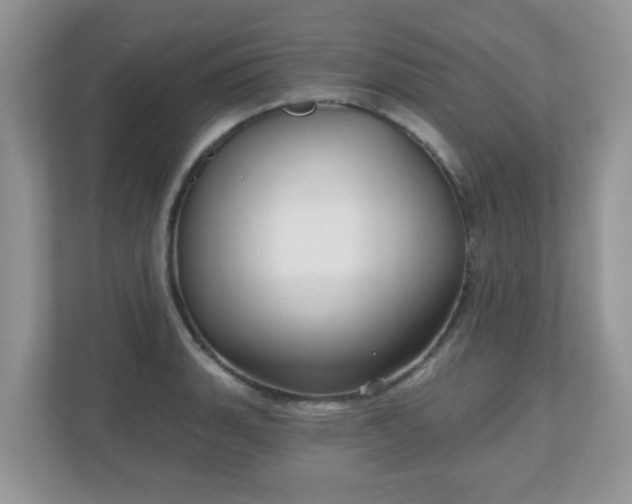 X0000111051135200907021614