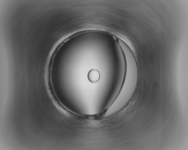 X0000111051136200907021614