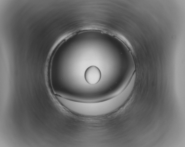 X0000111051138200907021614