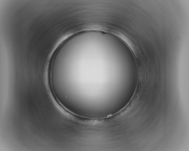 X0000111051139200907021614