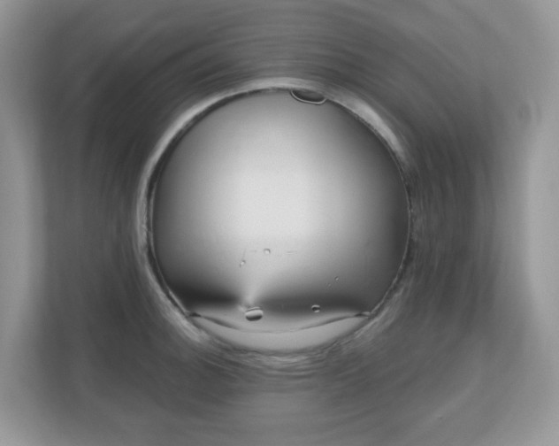 X0000111051140200907021614