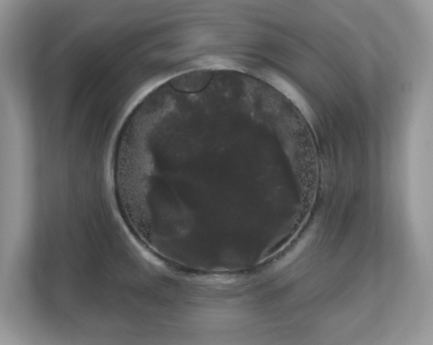 X0000111051141200907021614