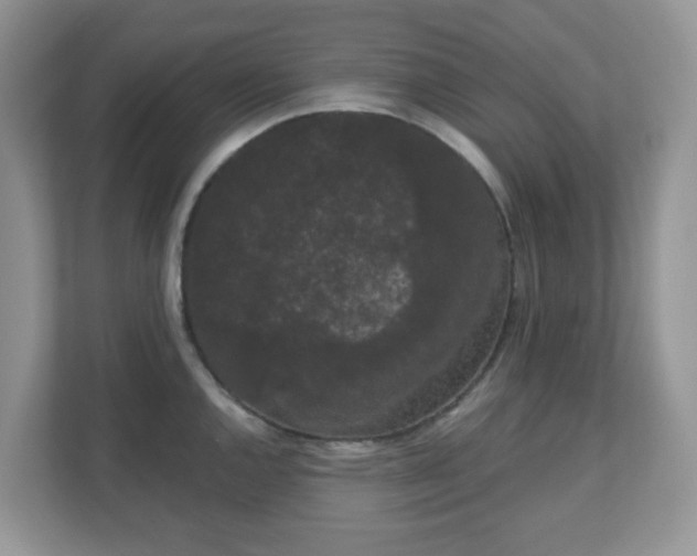 X0000111051144200907021614