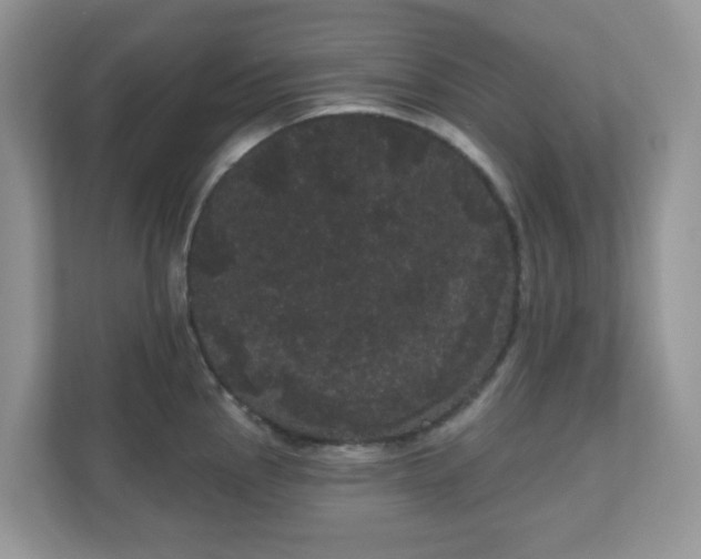 X0000111051145200907021614