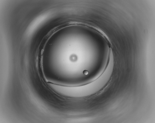 X0000111051151200907021614