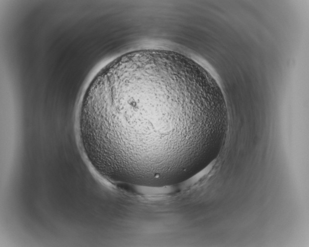 X0000111051152200907021614