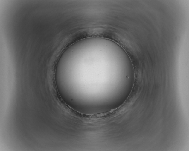 X0000111051153200907021614