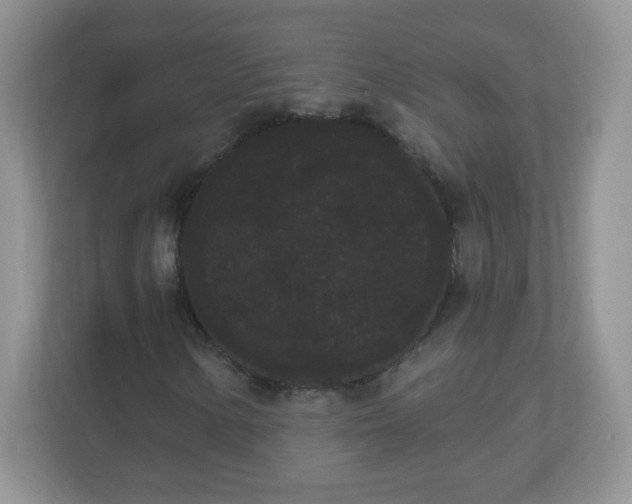 X0000111051154200907021614