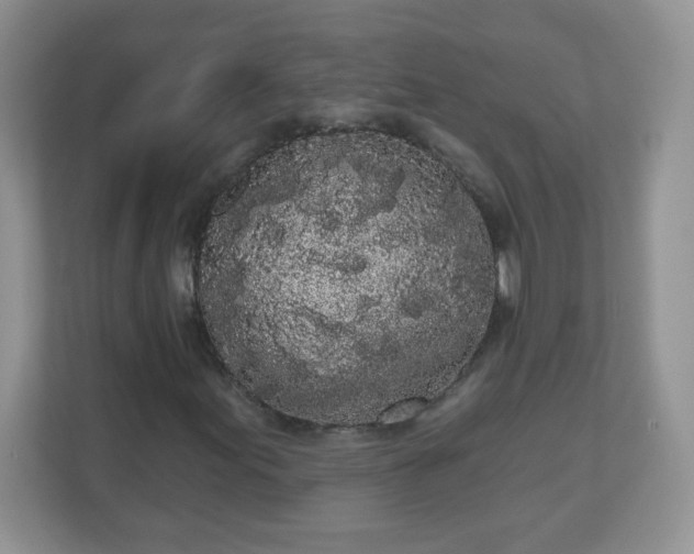 X0000111051155200907021613