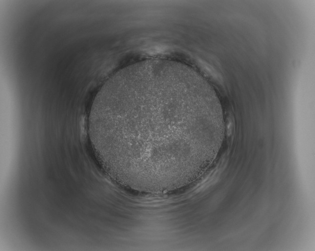 X0000111051156200907021613