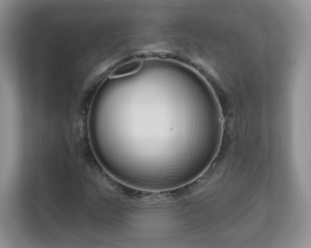 X0000111051159200907021613