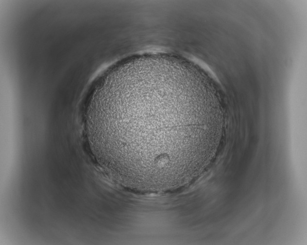 X0000111051160200907021613