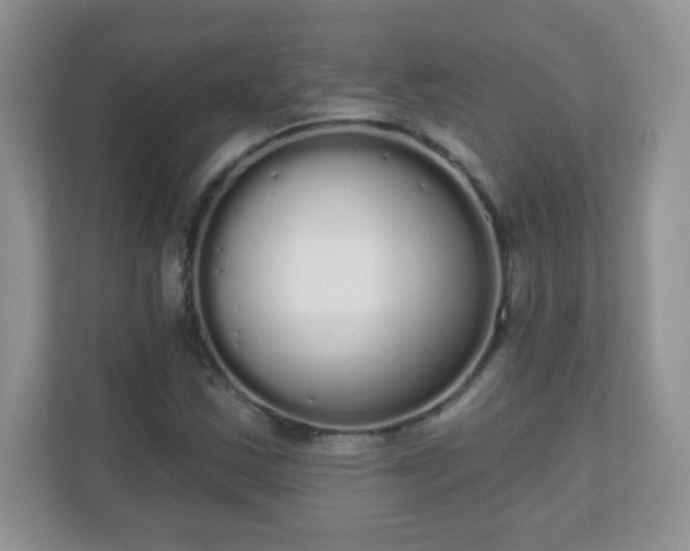 X0000111051163200907021613