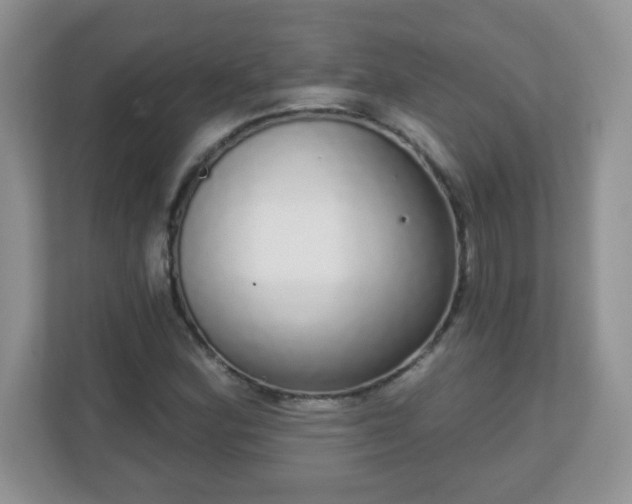 X0000111051164200907021613