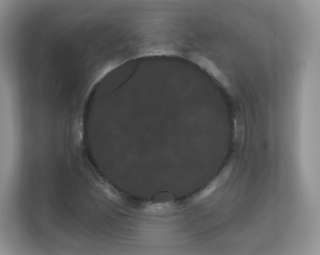 X0000111051165200907021613