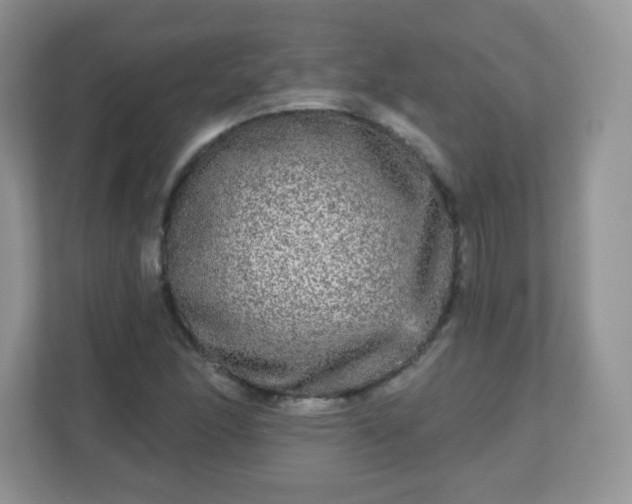 X0000111051166200907021613