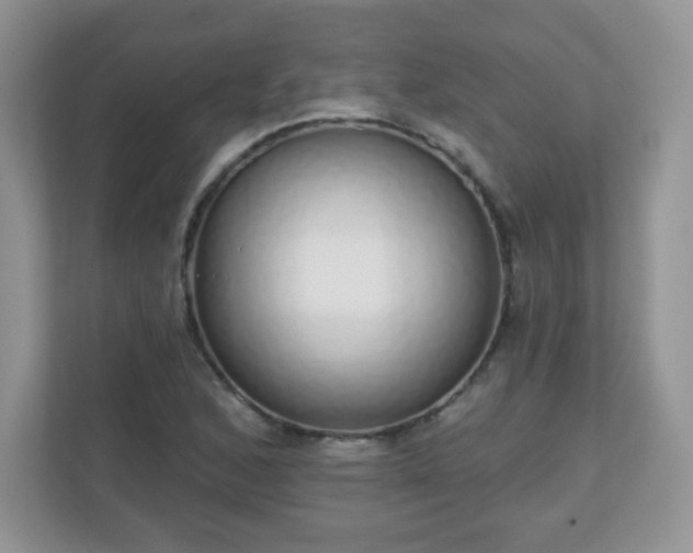 X0000111051168200907021613