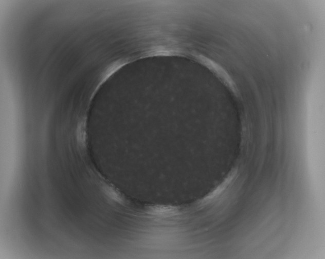 X0000111051170200907021613