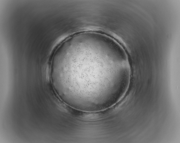 X0000111051171200907021613