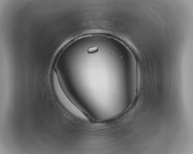 X0000111051173200907021613