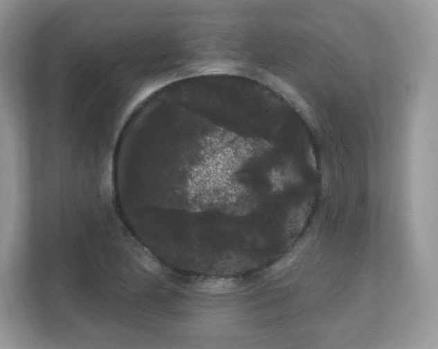 X0000111051174200907021613